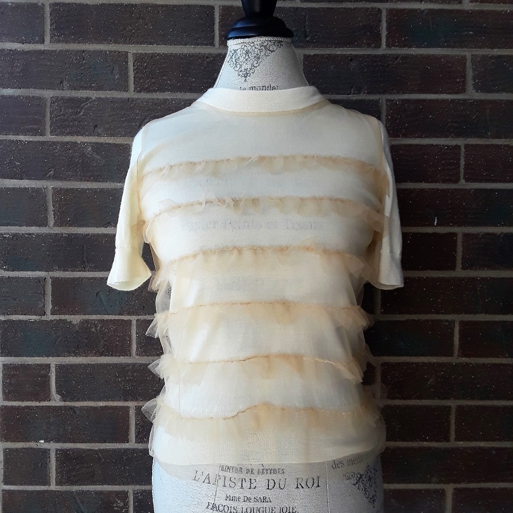 J Crew Tippi Tulle Merino Wool Sweater